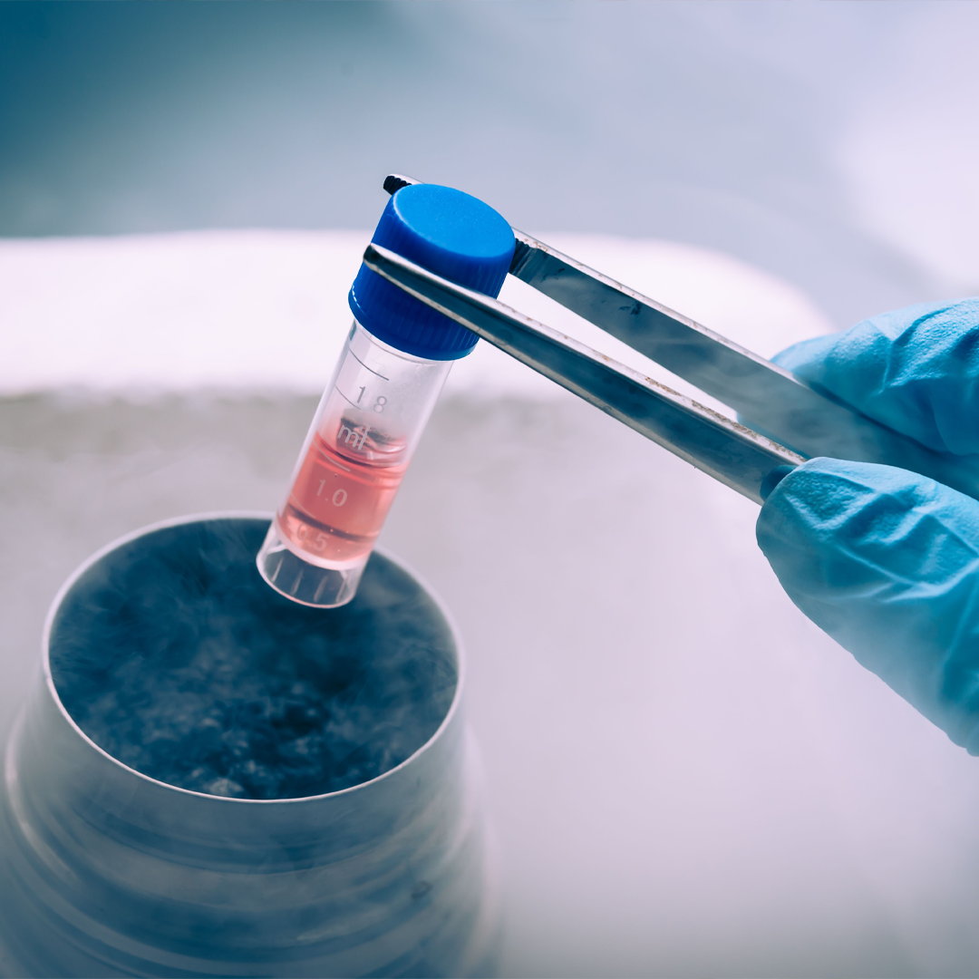 Surrogacy With Frozen Embroys in India